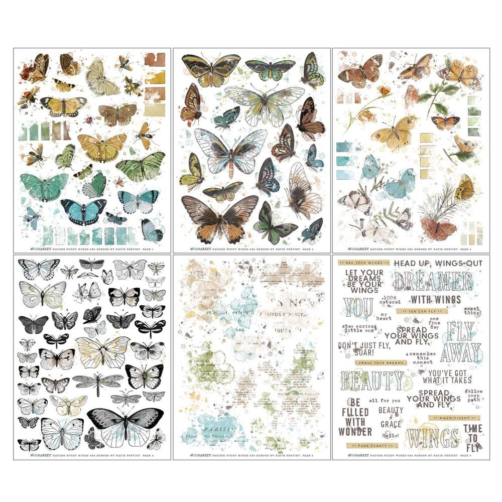49 and Market Vintage Artistry Nature Study 6 x 8 Wings Rub On Transfer Set